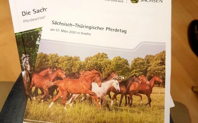 Vorstellung Projektzwischenstand beim Sächsisch-Thüringischen Pferdetag in Graditz