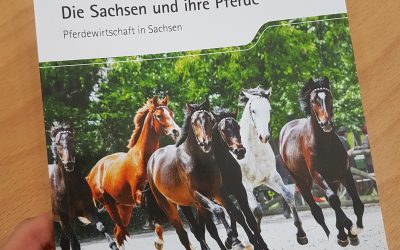 Broschüre „Die Sachsen und ihre Pferde“ veröffentlicht