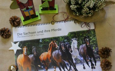 A3-Kalender „Die Sachsen und ihre Pferde“ rechtzeitig vor Weihnachten verfügbar