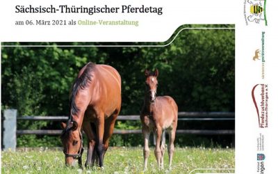 Sächsisch-Thüringischer Pferdetag am 6. März als Onlineveranstaltung