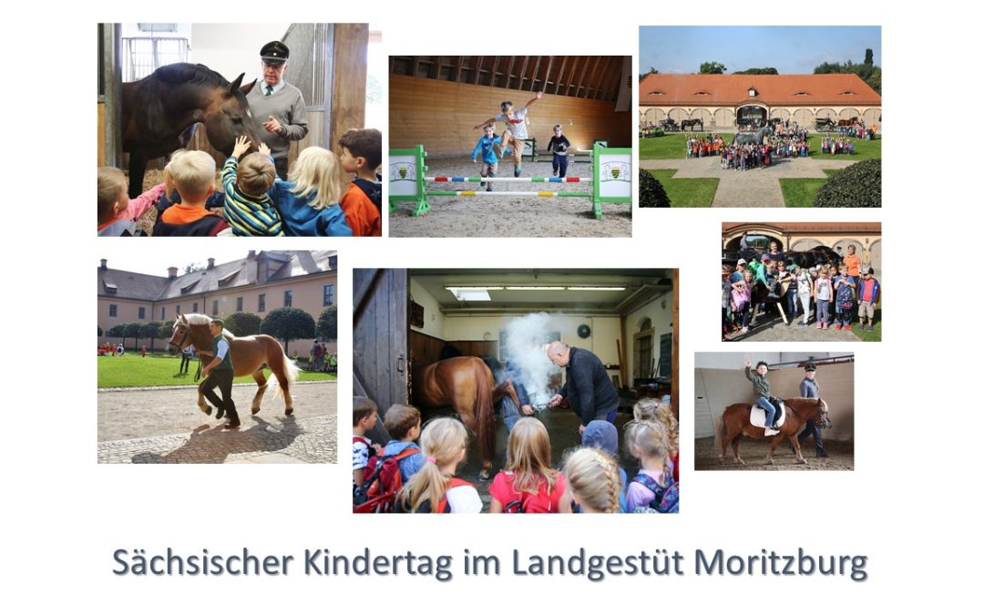 Sächsischer Kindertag im Landgestüt Moritzburg war voller Erfolg